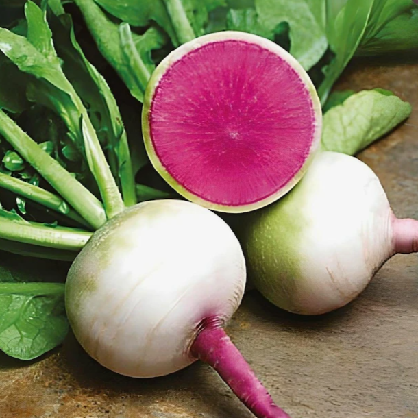 Редька "Старберст" F1, (50шт)