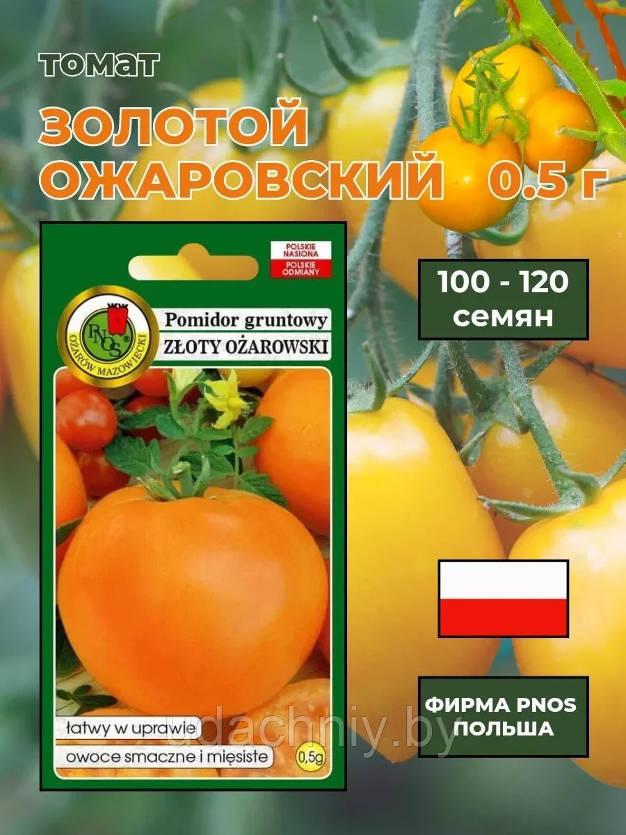 Томат Золотой Ожаровский 0,5 г "PNOS", Польша.