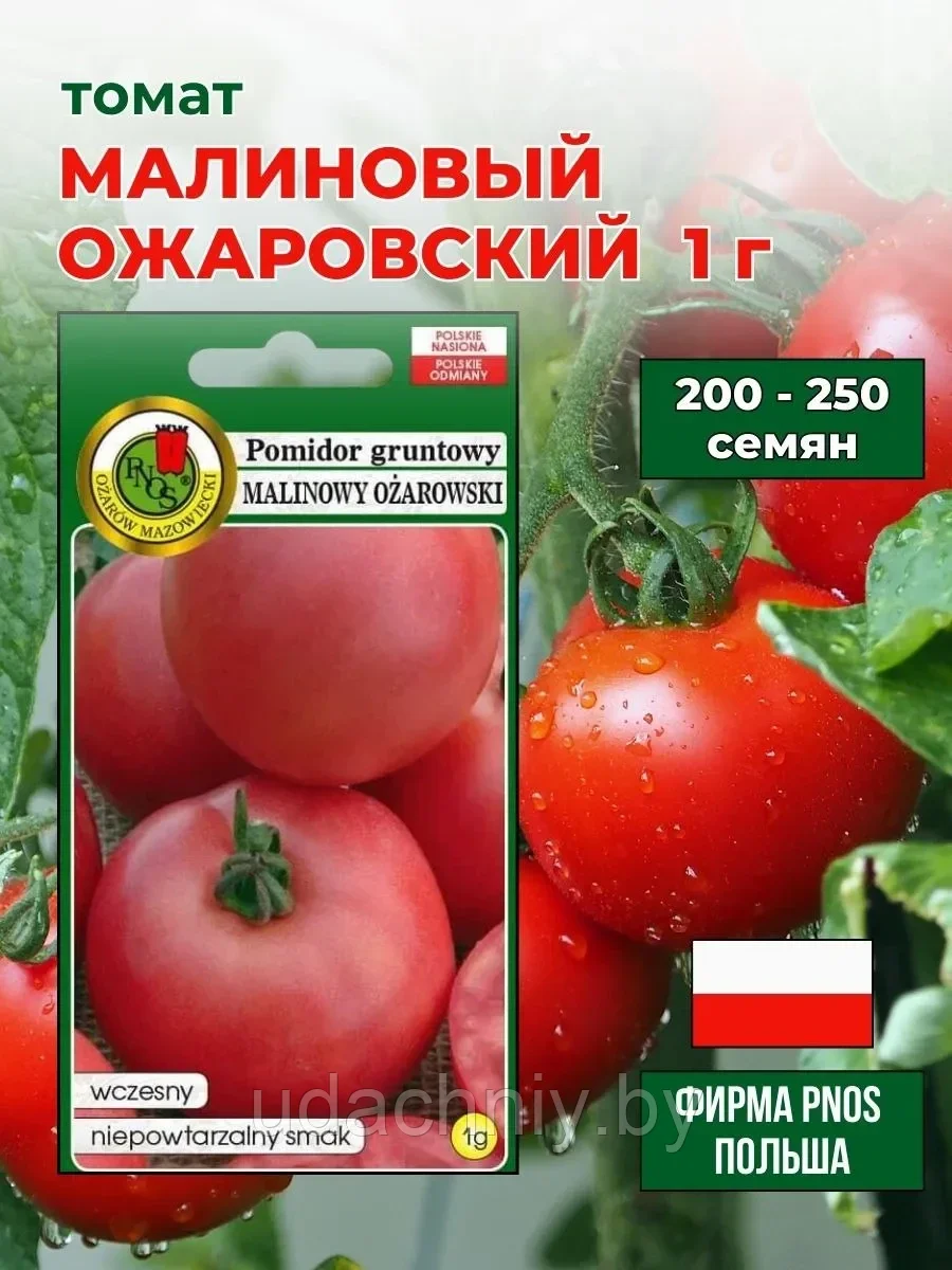 Томат Малиновый Ожаровский 1 г "PNOS", Польша.