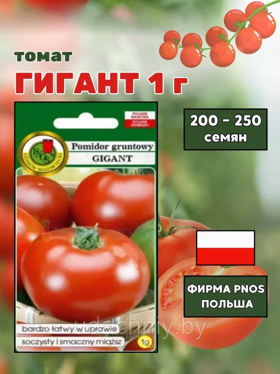 Томат Гигант 1 г "PNOS", Польша.
