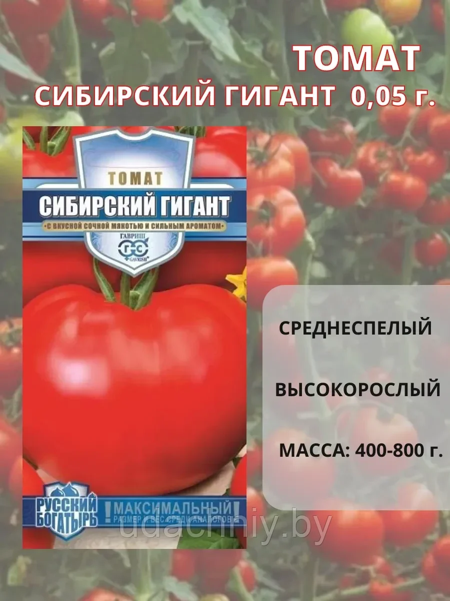 Томат Сибирский гигант. 0,05 г. "Гавриш", Россия.