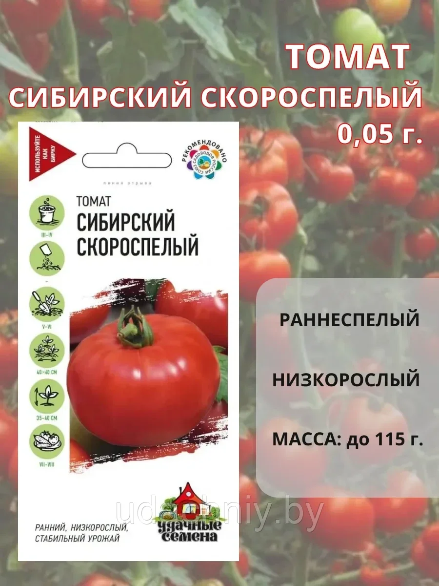 Томат Сибирский скороспелый. 0,05 г. "Гавриш", Россия.