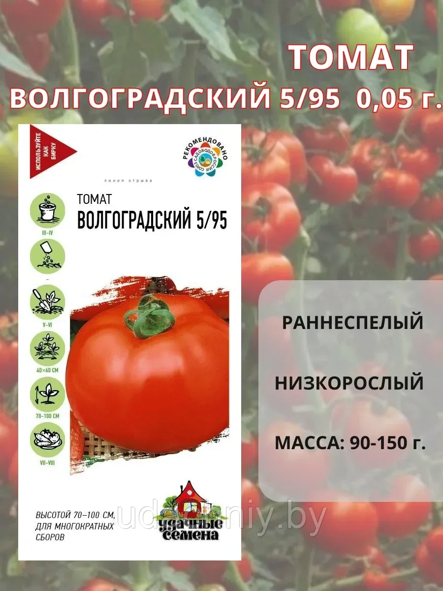 Томат Волгоградский 5/95. 0,05 г. "Гавриш", Россия.