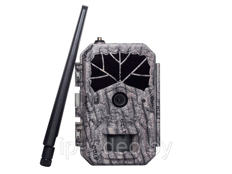 Фотоловушка BolyGuard BG636-48M с GPS и 4G / Лесная камера 48 МП с передачей фото и видео в облако