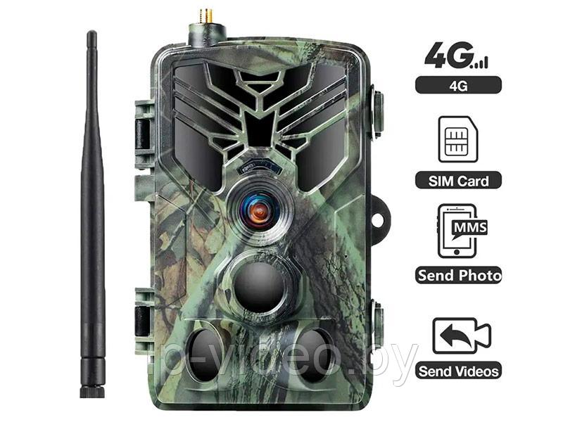 Фотоловушка Suntek HC-810Pro 4G / Лесная камера 30 МП с видео 4K и ИК-подсветкой 30 м