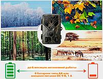 Фотоловушка Suntek HC-810A / Компактная лесная камера 24 МП с видео 2.7K и ИК-подсветкой 20 м, фото 2