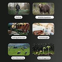 Фотоловушка Suntek HC-950Pro 4G / Лесная камера с двойным объективом, фото 36 МП и видео 4K, фото 3