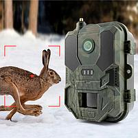 Фотоловушка Suntek HC-960Ultra 4G / Лесная камера 120 МП с видео 4K и невидимой ИК-подсветкой 25 м, фото 3