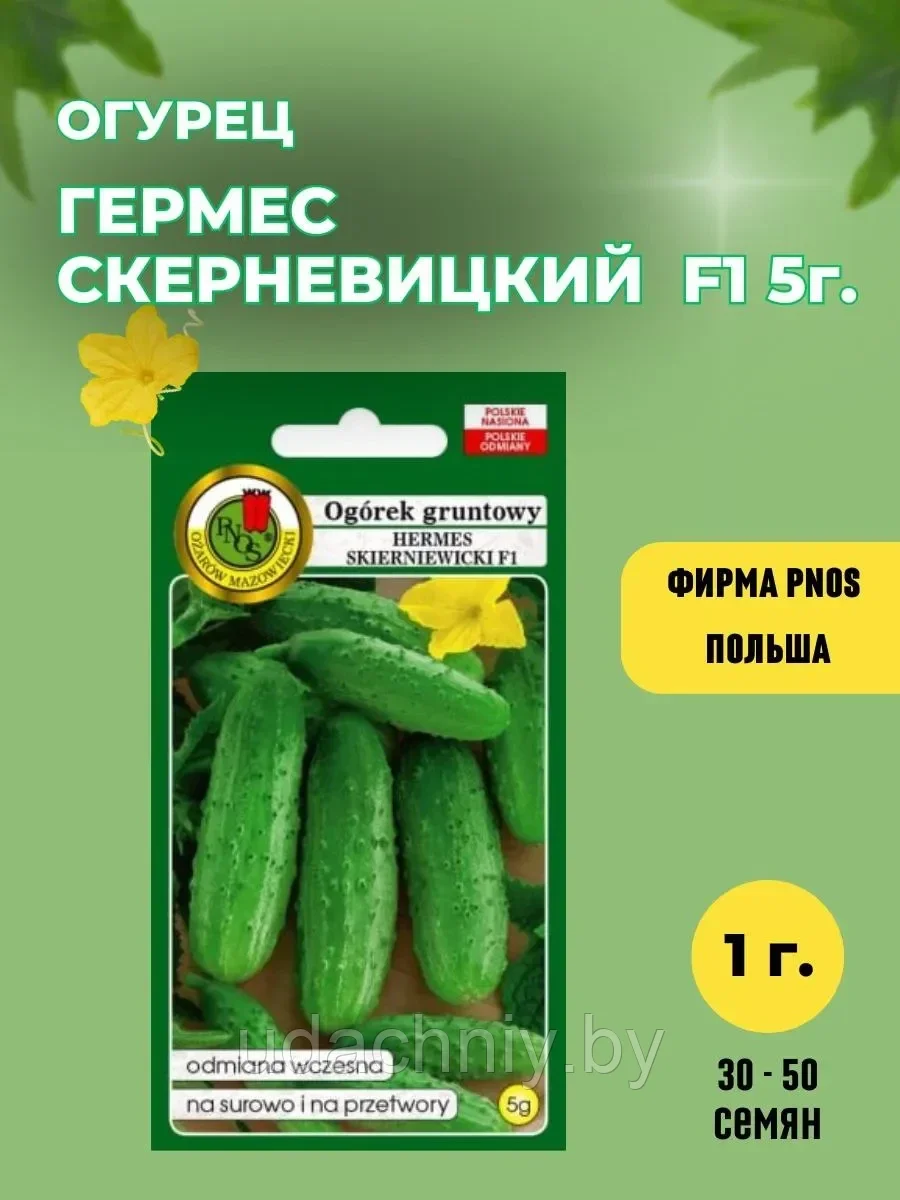 Огурец Гермес Скерневицкий F1. 5 г. "PNOS", Польша.
