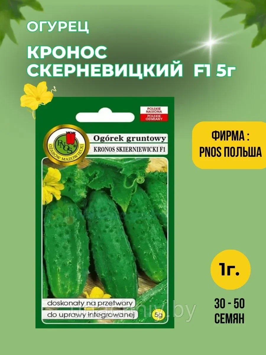 Огурец Кронос Скерневицкий F1 5 г "PNOS", Польша.
