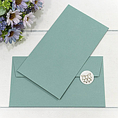 Конверт для денег, 16,9*9,4 см., 10 шт./уп.. мятный