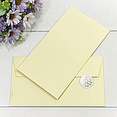 Конверт для денег, 16,9*9,4 см., 10 шт./уп.. желтый