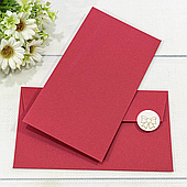 Конверт для денег, 16,9*9,4 см., 10 шт./уп.. красный