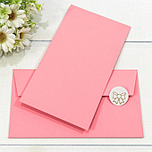 Конверт для денег, 16,9*9,4 см., 10 шт./уп.. розовый