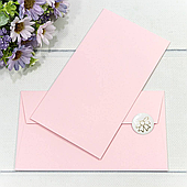 Конверт для денег, 16,9*9,4 см., 10 шт./уп.. светло-розовый