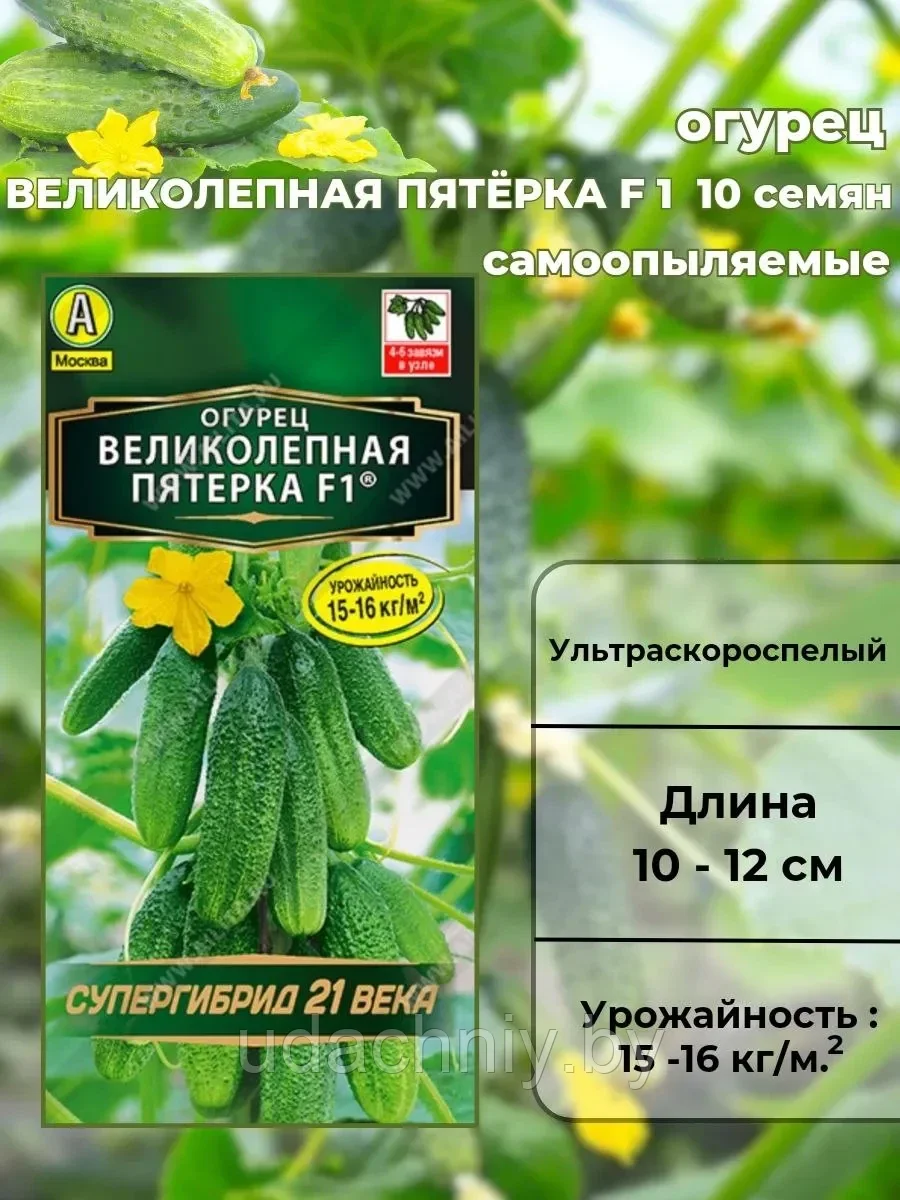 Огурец Великолепная пятёрка F1 10 шт. "Аэлита", Россия.