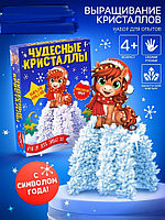 Набор для опытов и выращивания кристалла «Опыты. Ёлочка, чудесные кристаллы с лошадкой