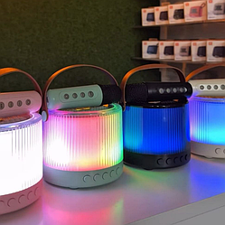 Музыкальная колонка Караоке T-910 с микрофоном и подсветкой (Черный, бежевый, зеленый, розовый)