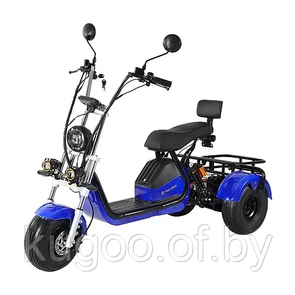 Электротрицикл GT X6 TRIKE, фото 2