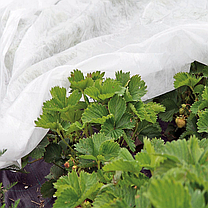 Спанбонд 60 белый ширина 1,6х200 м.п., рулон 320 м2 (СУФ), фото 3