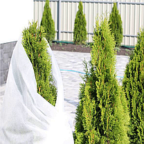 Спанбонд 60 белый ширина 1,6 метра/любой метраж (СУФ), фото 2