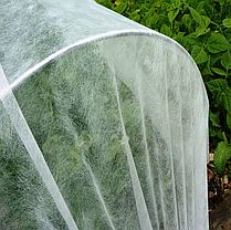 Спанбонд 60 белый ширина 1,6 метра/любой метраж (СУФ), фото 3