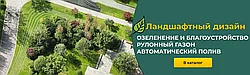 Пересадка больших деревьев: цена и профессиональные услуги от gazon-avtopoliv.by