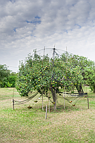 Сетка пласт. тканая для защиты от птиц Bird Net DIAMOND 20г/м2, яч. 15х15мм, размер 10х50м, фото 3