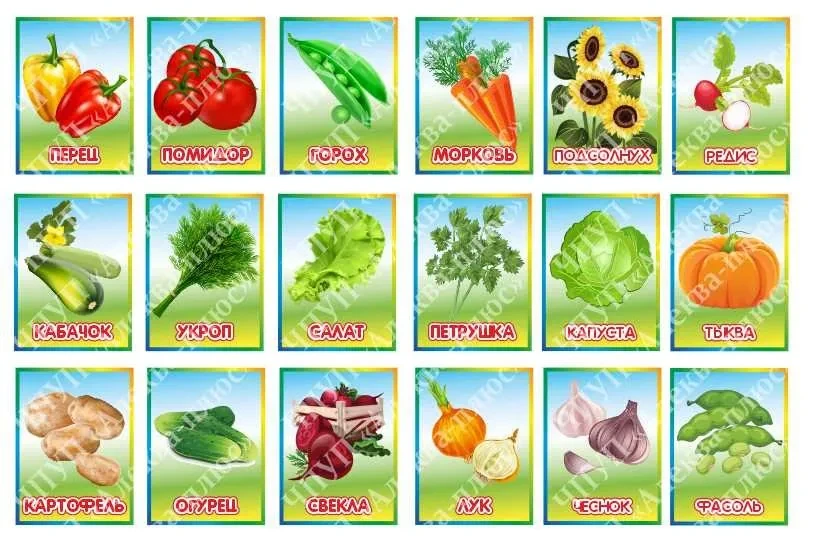 1419 Таблички в огород на палочке