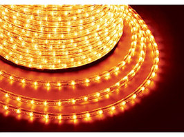 Дюралайт LED, постоянное свечение (2W) - желтый, 36 LED/м, бухта 100м Neon-Night - Диаметр 13мм