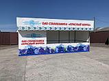 Торговая палатка размером 2,5х6,0 м. "односкатная крыша", фото 3