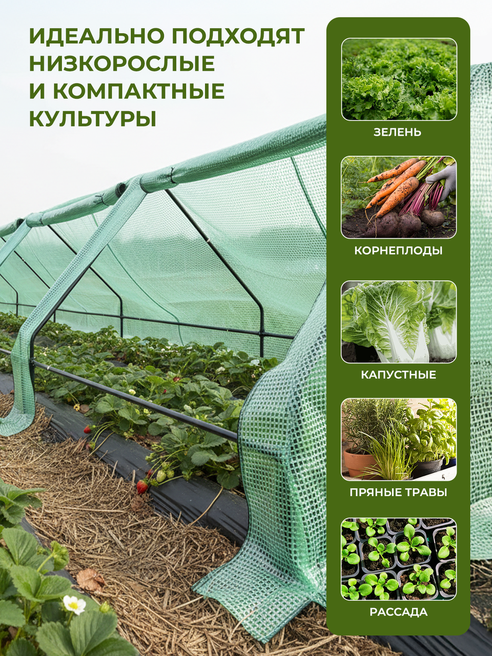 Теплица «ТРИО» длина 1,8 м