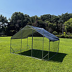 Курятник, фото 4