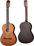 Акустическая гитара Presto Music GC-BN20-G-4/4, фото 2