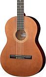 Акустическая гитара Presto Music GC-BN20-G-4/4, фото 3