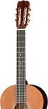 Акустическая гитара Presto Music GC-BN20-G-4/4, фото 4