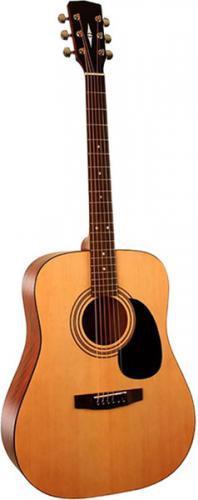 Акустическая гитара Parkwood W81-WBAG-OP (с чехлом)