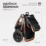 Детская универсальная коляска Tomix Walker Lux 3 в 1 / BD101TRIPLLUX (Black/Rose Gold), фото 9