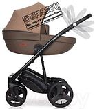 Детская универсальная коляска Riko Basic Aicon Ecco 2 в 1 (05/графитовый), фото 3