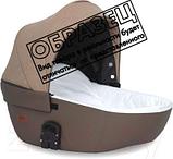 Детская универсальная коляска Riko Basic Aicon Ecco 2 в 1 (05/графитовый), фото 4