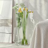 Ваза Muza Cylinder / 380-507, фото 3