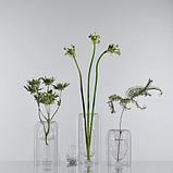 Ваза Bergenson Bjorn Muse / BB0000857, фото 7