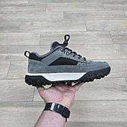 Кроссовки Timberland Motion 6 Low Hiker Gray, фото 2