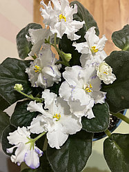 Изменения в режиме работы.