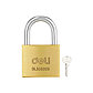 Замок навесной Deli YS EDL508906, 50 мм, 3 ключа, автомат, латунь. Цена указана без учета НДС 20%, фото 5