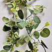 Лиана Эвкалипт с белыми добавками 1.7 м, фото 2