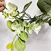 Лиана Эвкалипт с белыми добавками 1.7 м, фото 5
