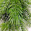 Гирлянда из веток сосны 60 см, фото 3