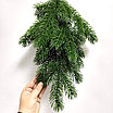 Гирлянда из веток сосны 60 см, фото 5