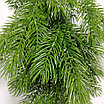 Гирлянда из веток сосны 60 см, фото 2